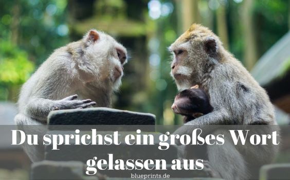 Affen unterhalten sich.