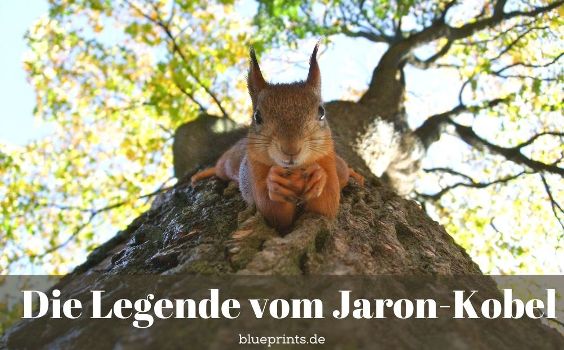 Eichhörnchen kopfüber am Baum