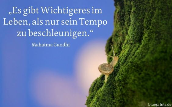 Eine Schnecke kriecht einen bemoosten Stamm hoch.