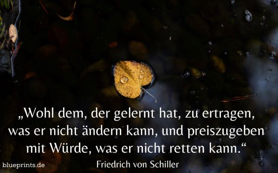 Ein Blatt treibt im Wasser.