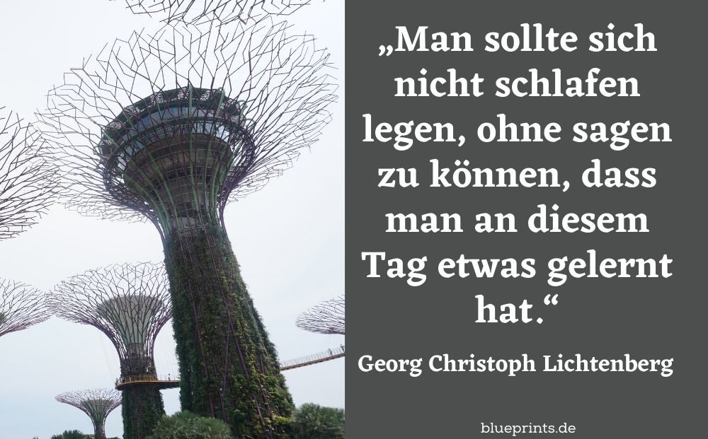 Georg Lichtenberg Zitat Lernen