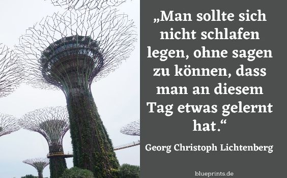 Georg Lichtenberg Zitat Lernen
