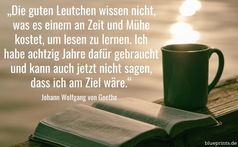 Lesen am See