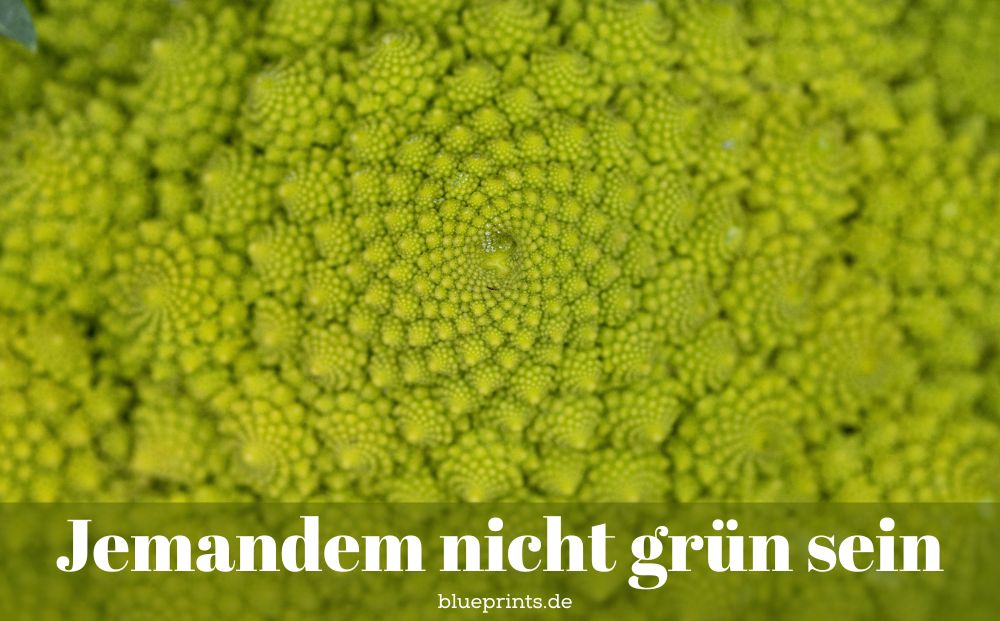 Nahaufnahme eines Romanesco