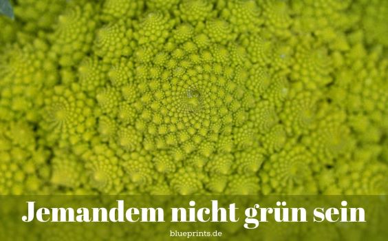 Nahaufnahme eines Romanesco