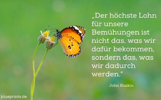 John Ruskin Zitat der höchste Lohn