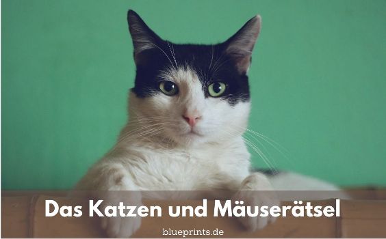 Katzen und Mäuse Rätsel