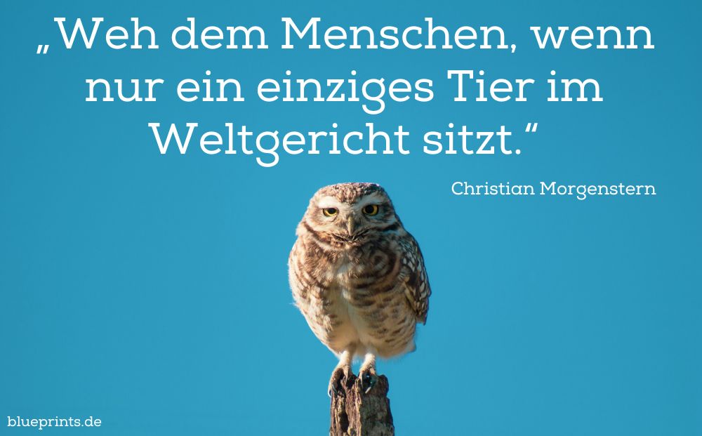Eule sitzt auf einem Pfahl
