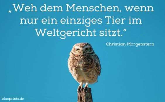 Eule sitzt auf einem Pfahl