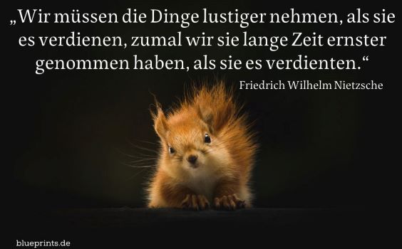 Eichhörnchen blickt uns an