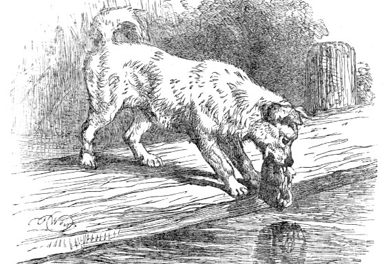 Der Hund und das Stück Fleisch von Aesop