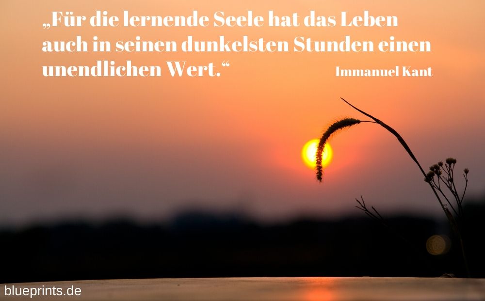 Immanuel Kant über die Seele