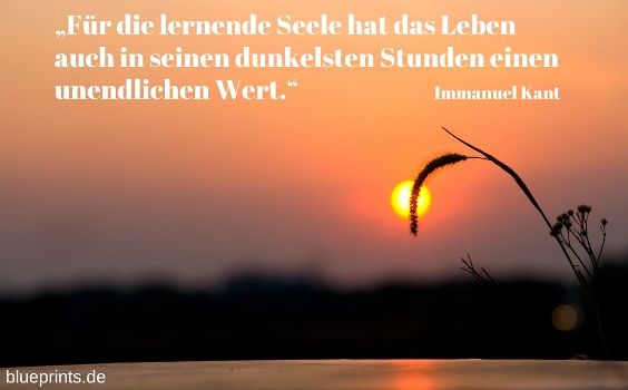 Immanuel Kant über die Seele
