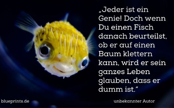 Jeder ist ein Genies