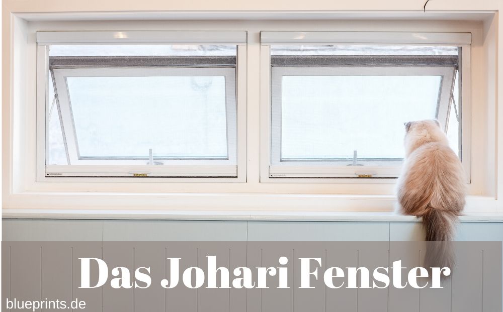 Johari Fenster