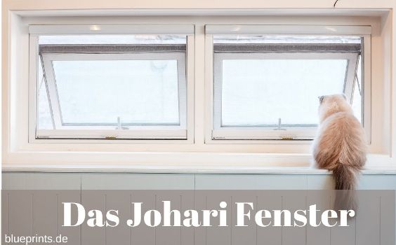 Johari Fenster