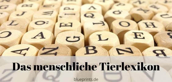 Aufgabe: Das menschliche Tierlexikon - eifriger Leser