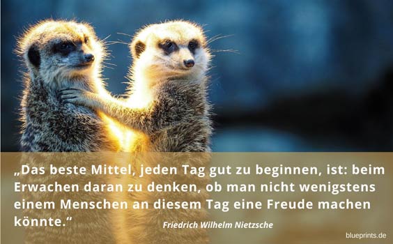 Nietzsche Start in den Tag