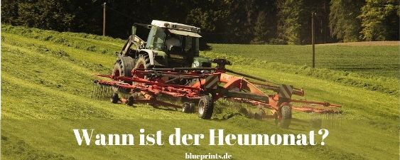 Wann wird Heu gemäht?
